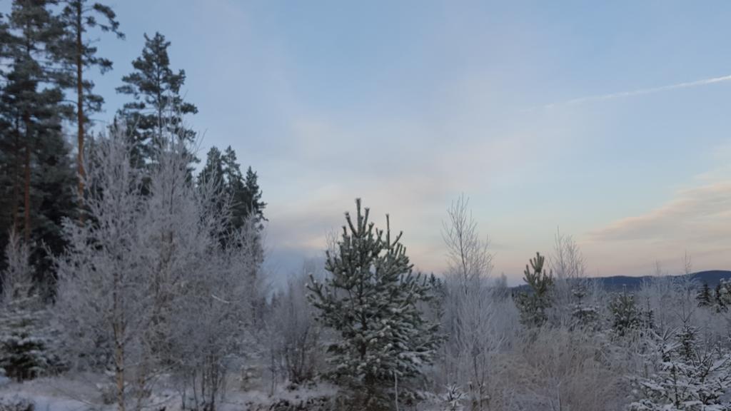 Romme Rum Бурленге Екстер'єр фото